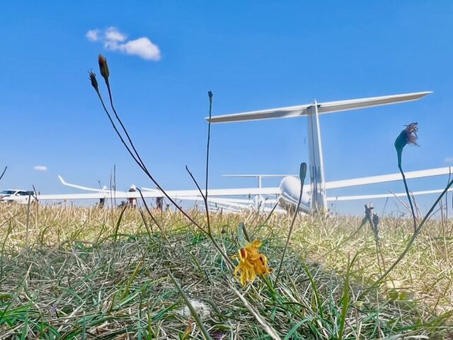 Some photos of our winners throughout the week 🏆plus no land outs for day 7 of the Cloud Rally! 

Lots of fun with social events this week too, including a quiz and art workshop held by @glidingcc where some absolute masterpieces were created 🎨